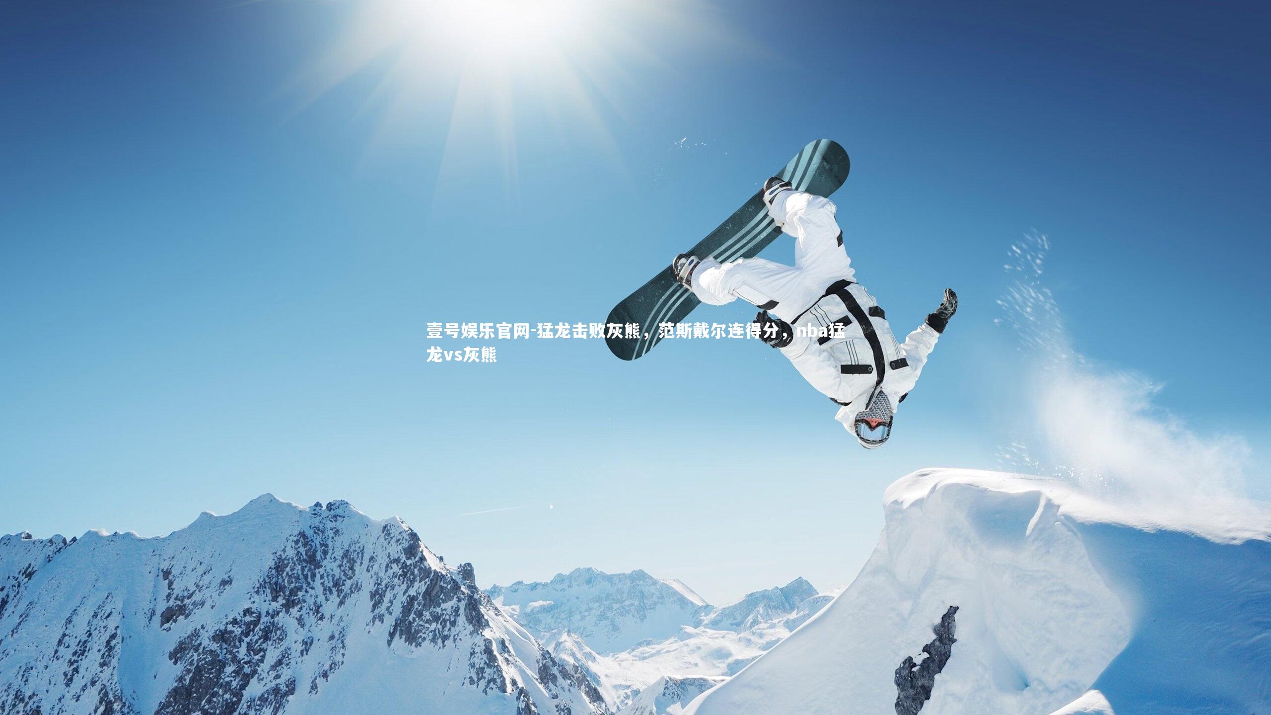 猛龙击败灰熊,范斯戴尔连得分,nba猛龙vs灰熊